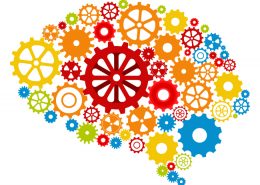 Free Healthy Brain workshop